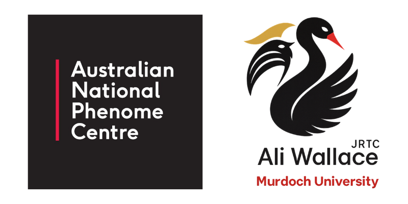 australian x ali